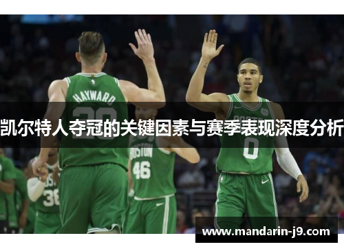 凯尔特人夺冠的关键因素与赛季表现深度分析 凯尔特人夺冠的关键因素与赛季表现深度分析
