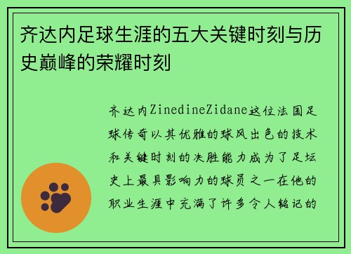 齐达内足球生涯的五大关键时刻与历史巅峰的荣耀时刻 齐达内足球生涯的五大关键时刻与历史巅峰的荣耀时刻